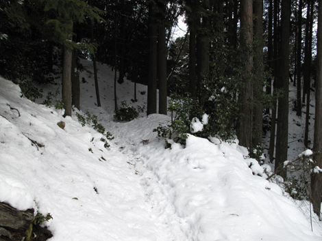 20140211hike (262)